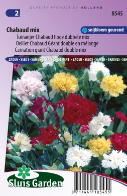 Carnation Chabaud Mix (Dianthus) 90 seeds